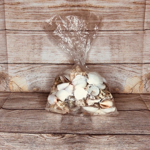 Large Assortment of Seashells - Picture 2 of 3